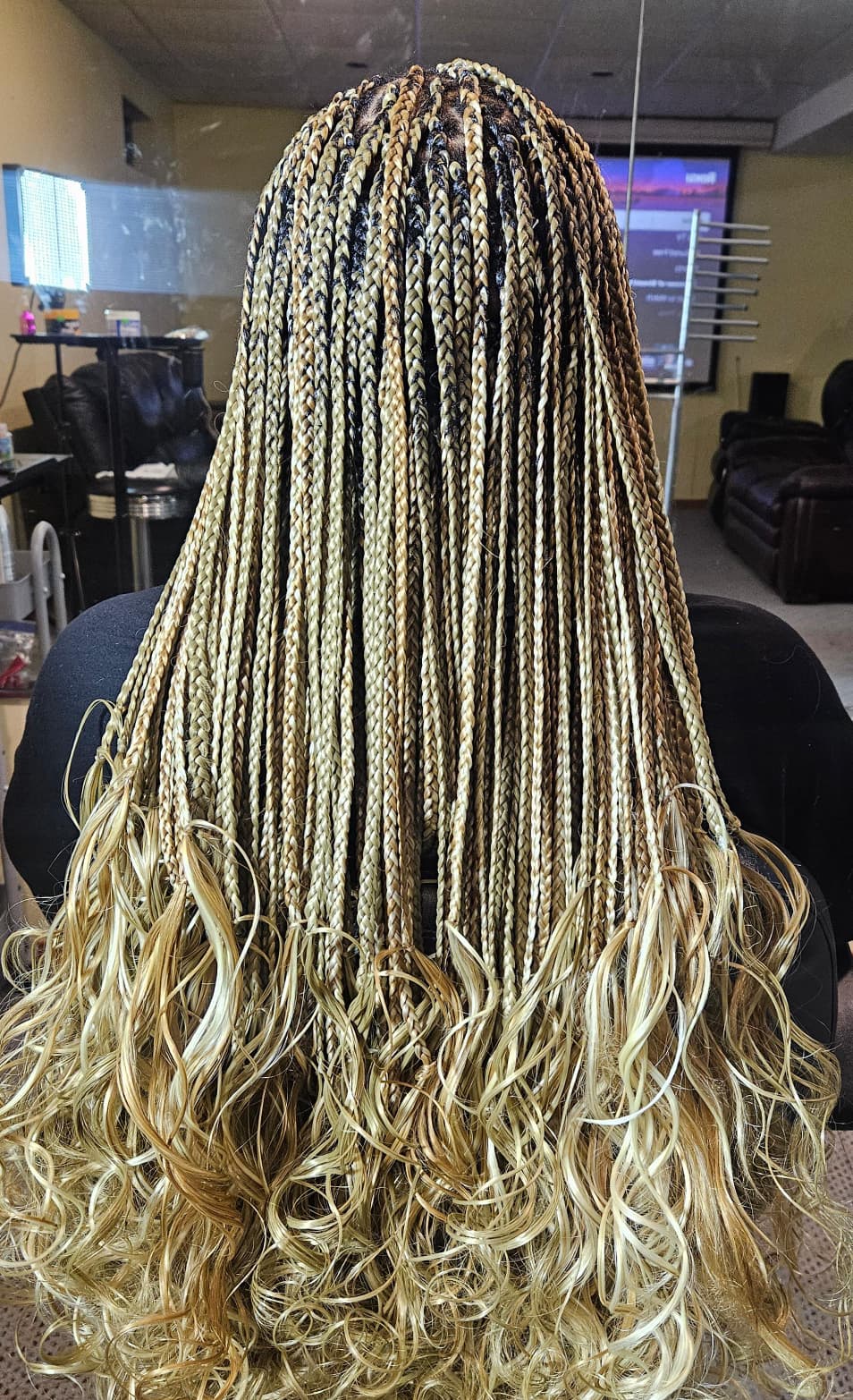 French Braids Picture